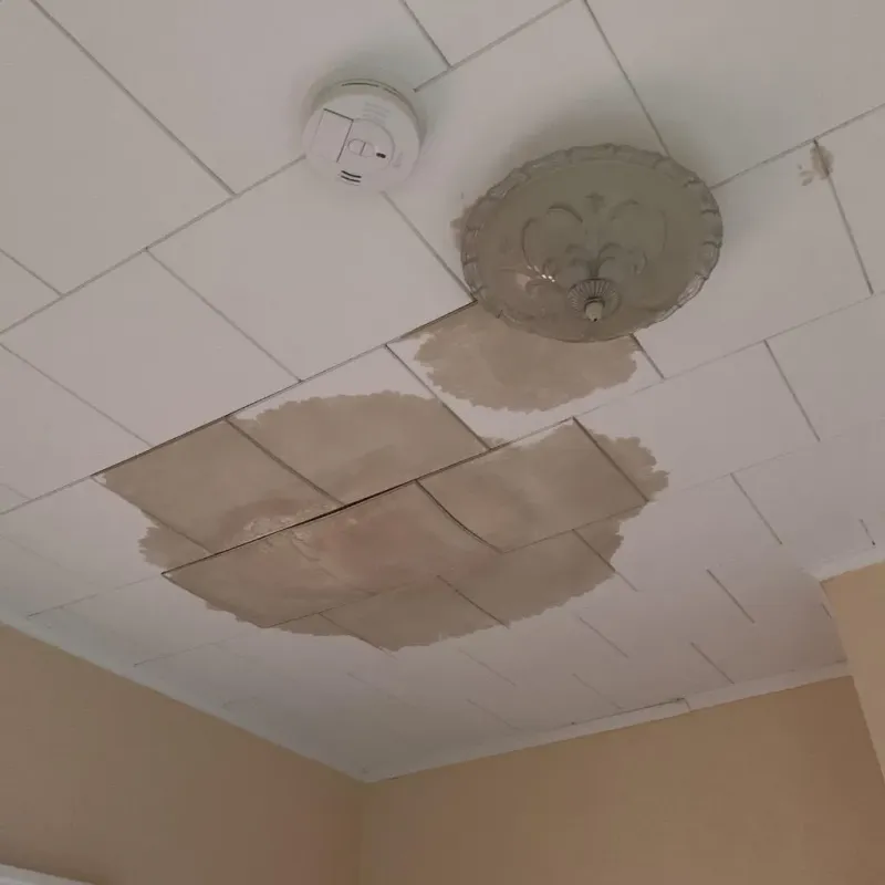 Ceiling Water Damage Repair in Bassett, VA