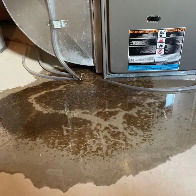 Pipe Burst and Leak Restoration in Bassett, VA
