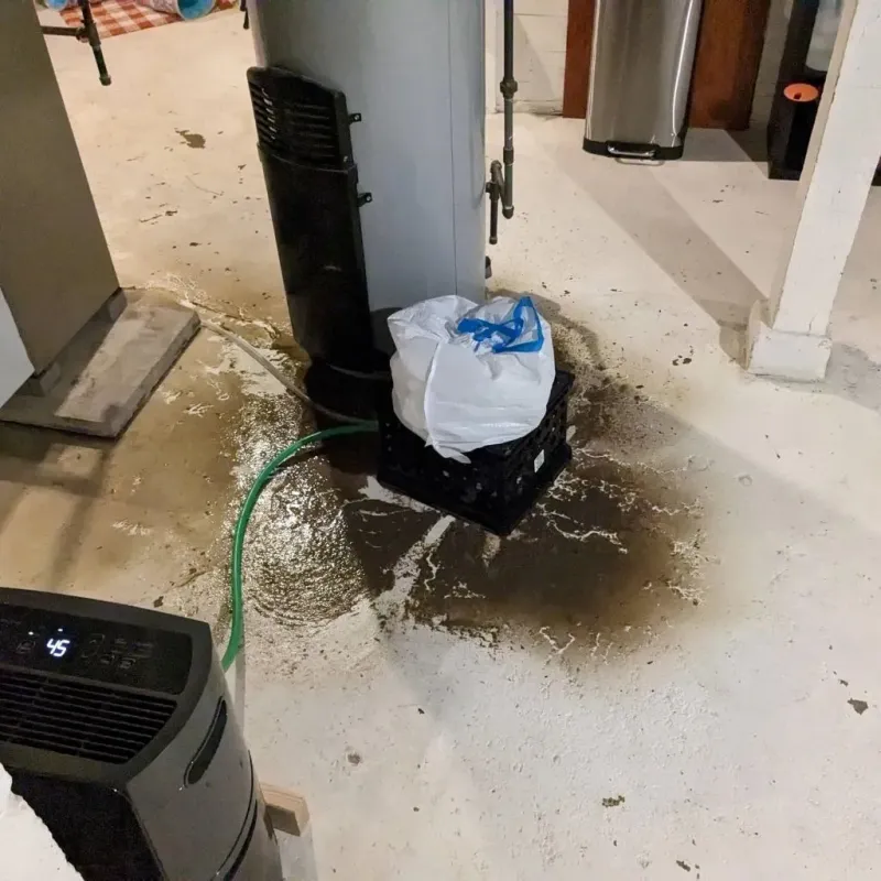 Sewage Backup Cleanup Service in Bassett, VA
